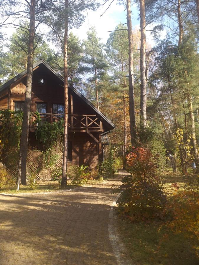 Villa Lesna Ostoja Nad Pilica Lechanice Exterior foto