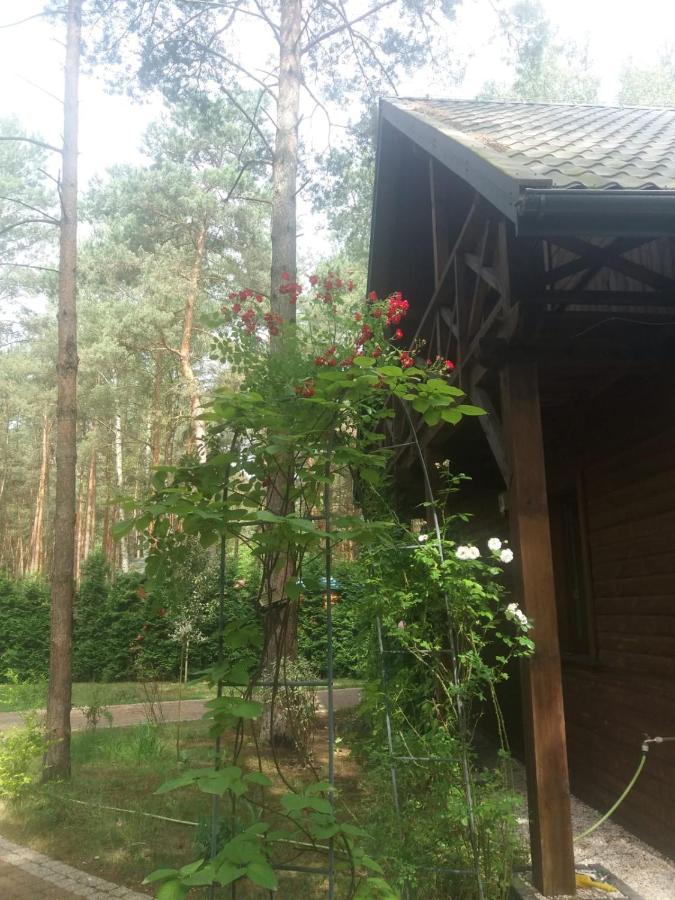 Villa Lesna Ostoja Nad Pilica Lechanice Exterior foto