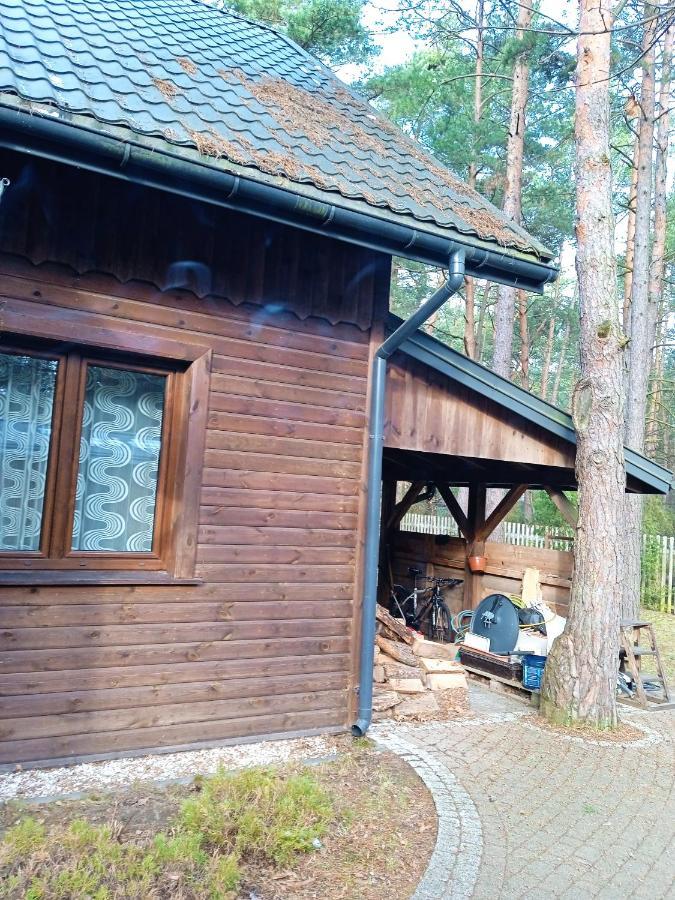 Villa Lesna Ostoja Nad Pilica Lechanice Exterior foto