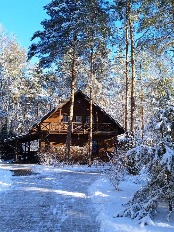 Villa Lesna Ostoja Nad Pilica Lechanice Exterior foto